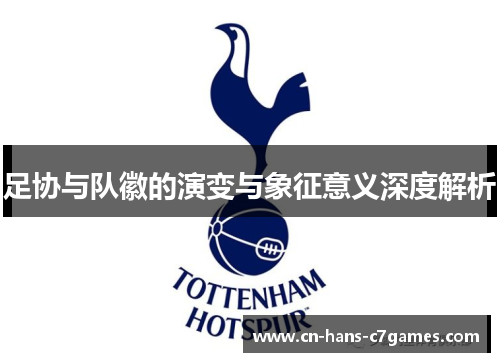 足协与队徽的演变与象征意义深度解析