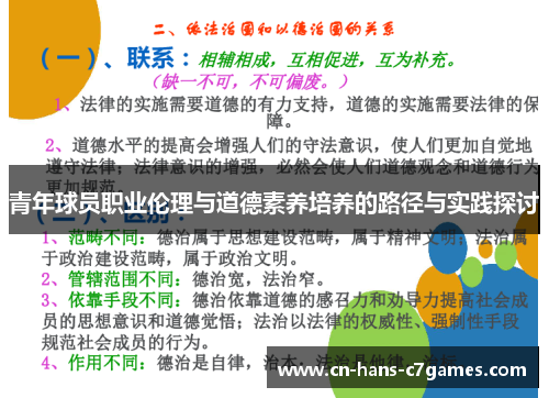 青年球员职业伦理与道德素养培养的路径与实践探讨