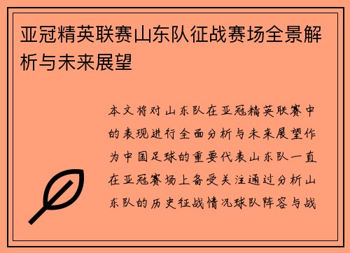 亚冠精英联赛山东队征战赛场全景解析与未来展望